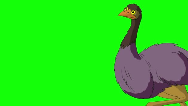 The ostrich comes, screams and leaves. Handmade animated HD footage isolated on green screen - 映像、動画