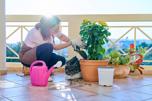 Woman planting caring for a house plant in a pot, on the terrace - Foto, afbeelding