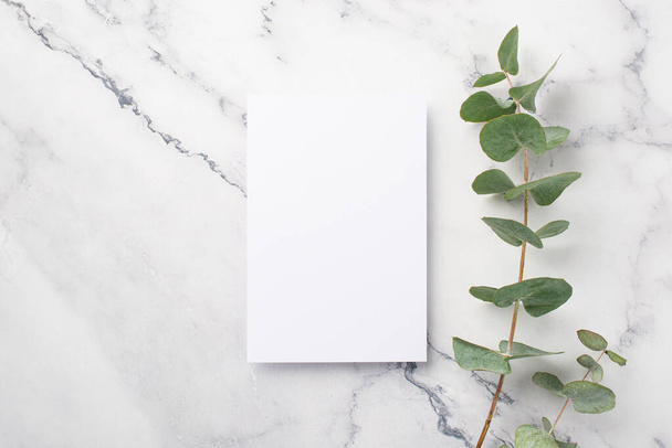 Top view photo of paper card and eucalyptus sprig on white marble background with empty space - Foto, Imagem