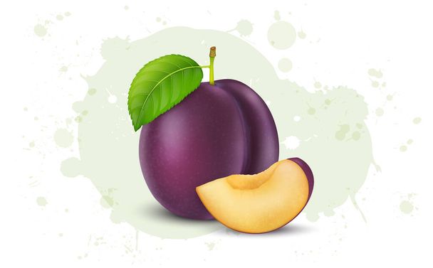 Plum Fruit vector illustration with Plum slices and green leave isolated on white background - Vettoriali, immagini