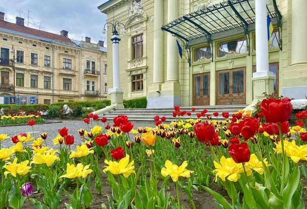 The charming square of Olga Kobylanska Theater in Chernivtsi city in Western Ukraine - Foto, Imagem