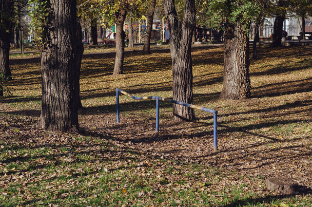 Un parque de otoño de la ciudad vacía. Un parque infantil con columpios en el fondo. Temporada de hojas. No hay gente. Un día soleado de otoño. - Foto, Imagen