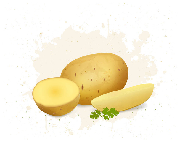 Εικονογράφηση διάνυσμα πατάτας με, μισά κομμάτια πατάτας σε λευκό φόντο - Διάνυσμα, εικόνα