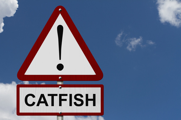 Catfish sinal de precaução
 - Foto, Imagem