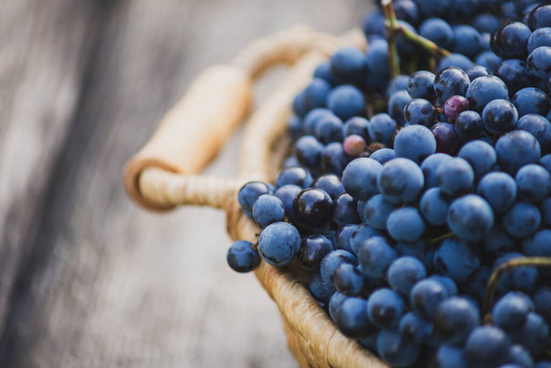 Grapes on the basket on the wooden table - Foto, imagen