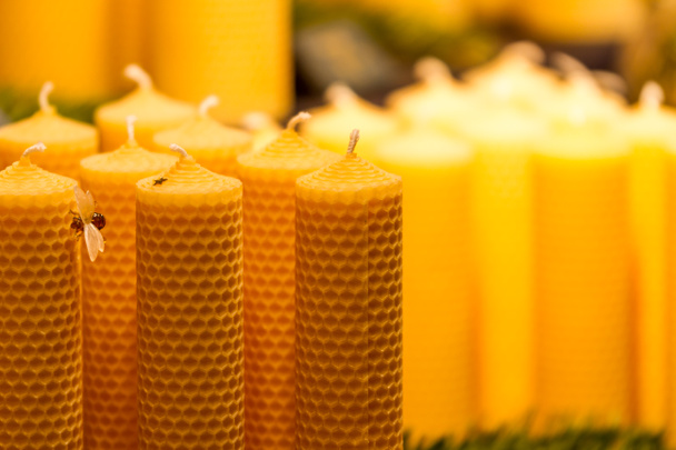 Velas tradicionales de cera de abeja
 - Foto, Imagen