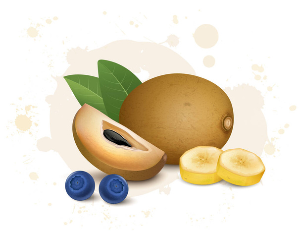 Sapodilla vector de fruta ilustración con rodajas de plátano y arándanos - Vector, imagen