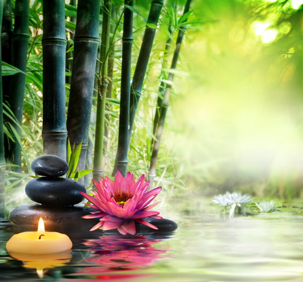 Massage in der Natur - Lilie, Steine, Bambus - Zen-Konzept - Foto, Bild