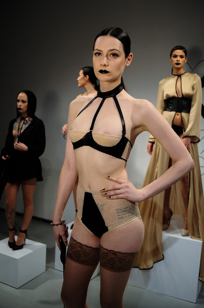 Models pose sexy during Love Cage Spring 2015 lingerie presentation - Photo, image