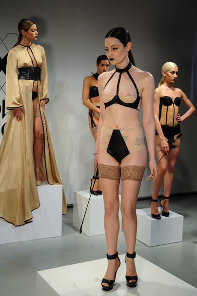 Love Cage Spring 2015 lingerie presentation - Foto, Imagem