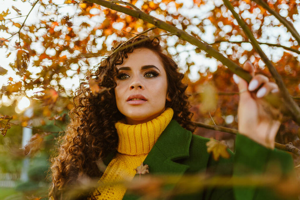 luxurious curly hair and beautiful green eyes of a girl standing under a branch of autumn tree - Фото, изображение