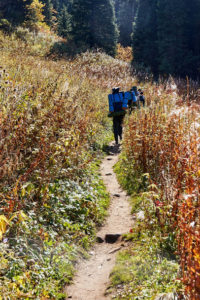tourists with backpacks walking along a mountain trail among tall grass. active recreation in the mountains - Foto, Imagem