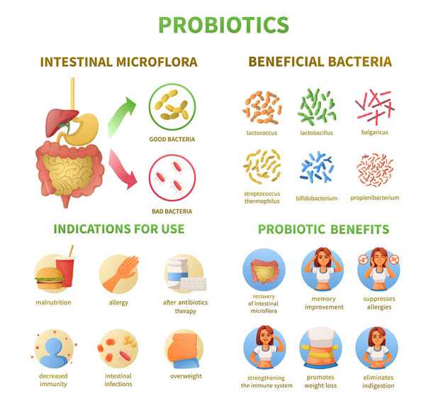 Set di cartoni animati Infografica Probiotici - Vettoriali, immagini