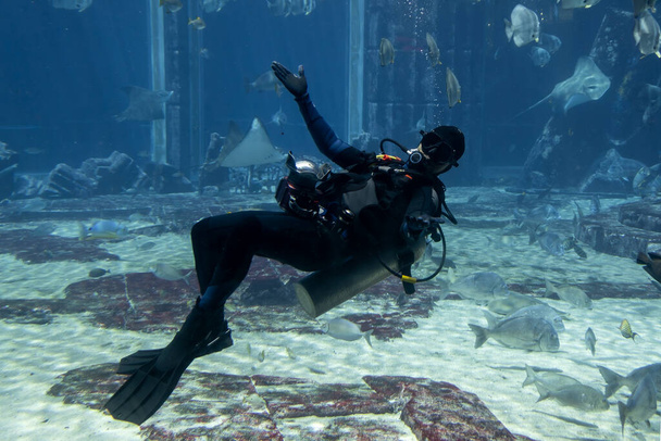 Búvár búvár a víz alatt egy akváriumban pózol a turisták számára, Dubai Akvárium - Fotó, kép