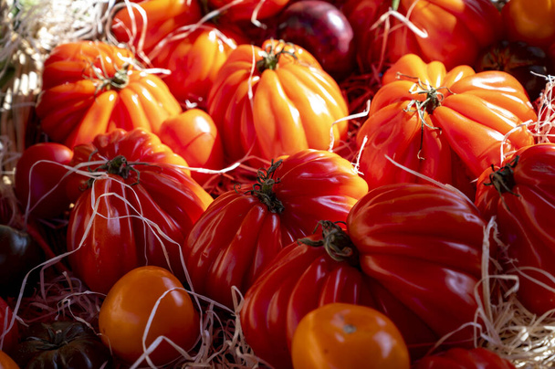 Kolorowe francuskie dojrzałe smaczne pomidory w asortymencie na rynku prowansalskim w Cassis, Prowansja, Francja, zbliżenie - Zdjęcie, obraz