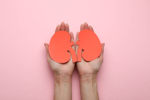 Woman holding paper cutout of kidneys on pink background, top view - Foto, Imagem