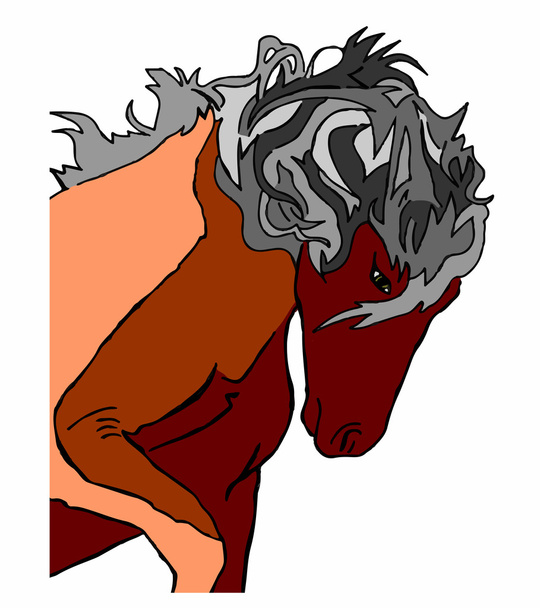 Kůň hřebec na bílém pozadí - Vektor, obrázek