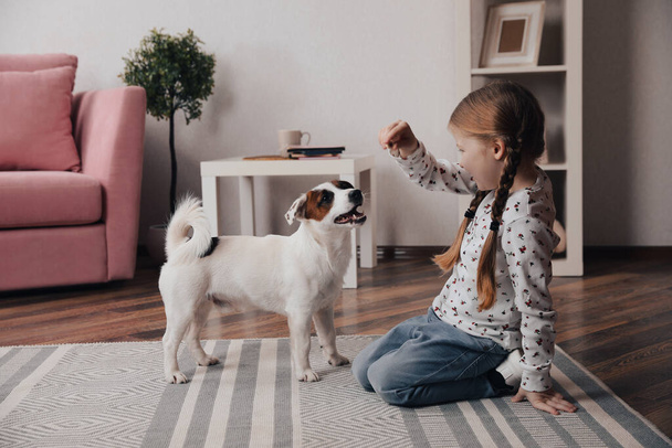 Söpö tyttö syöttämässä koiraansa kotona. Lapsuuden lemmikki - Valokuva, kuva