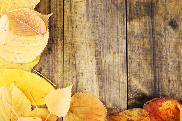Yellow leaves on brown wooden background - Photo, Image