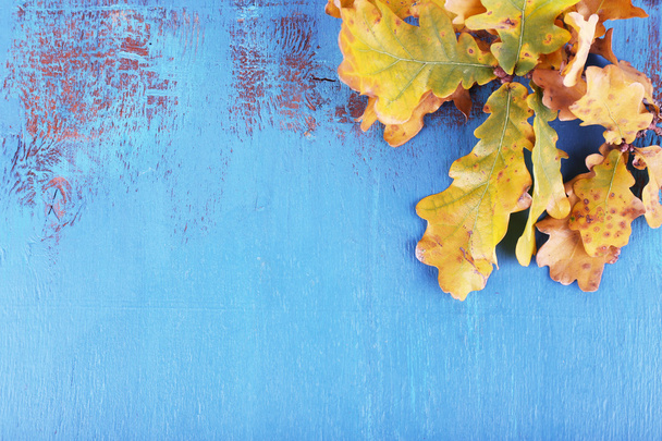 Gele bladeren op blauwe houten achtergrond - Foto, afbeelding