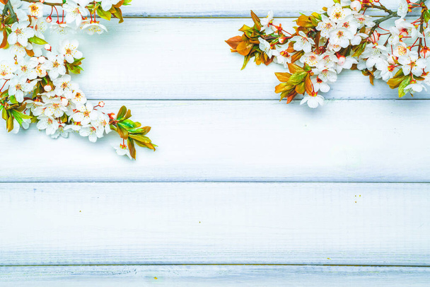 Sakura flower spring blossom and April floral nature on wooden background. Banner for 8 march, Happy Easter with place for text. Springtime concept. Top view. Flat lay - 写真・画像