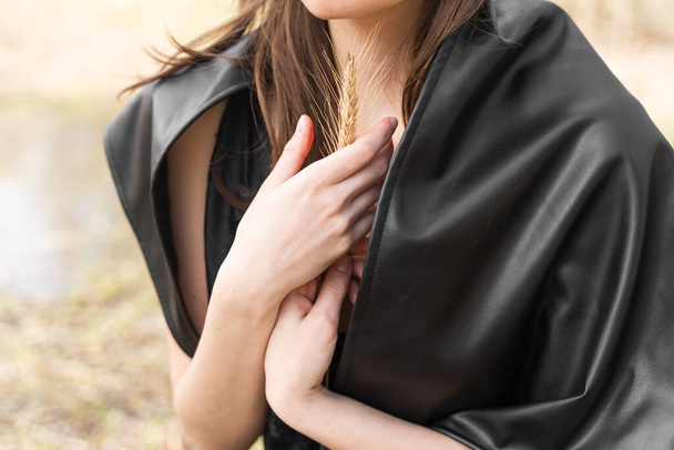 Lähikuva naisten käsissä pitää yhden kultaisen korvan vehnän musta mekko tausta. Maatalouden käsite. - Valokuva, kuva
