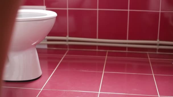 A young girl writes in the toilet in the bathroom at home with a smartphone - Felvétel, videó
