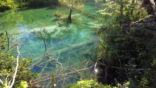 Lago Milino Jezero del Parque Nacional de los Lagos Plitvice - Metraje, vídeo