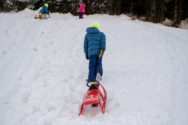 Діти грають на снігу і ковзають по пагорбу
. - Фото, зображення