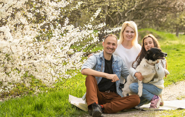 Family with daughter and dog play together in the garden in spring - Фото, изображение