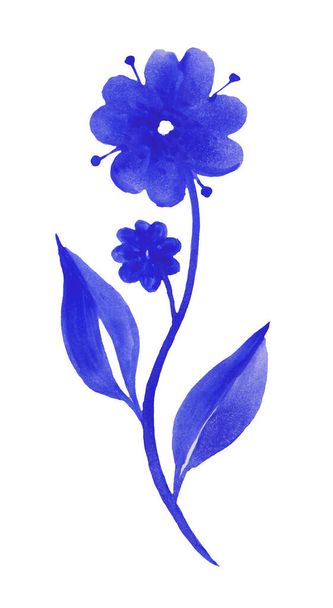 Acuarela Tulipán de flor azul-blanco sobre un fondo blanco aislado con ruta de recorte. Primer plano. sin sombras. Tiro de color blanco. Naturaleza. - Foto, Imagen