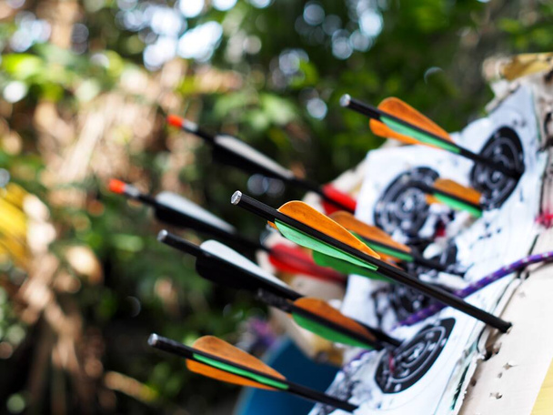 archery crossbow bolts on house-made practice target in backyard garden outdoor with authentic summer plant blur in background. - 写真・画像