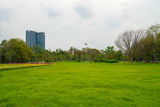 Zöld rét fű a városban nyilvános park ég witrh felhő természet táj - Fotó, kép