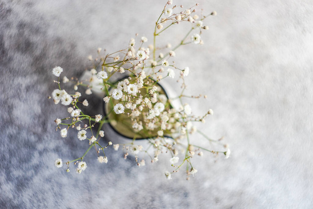 Bílé gypsophila květiny v keramické váze na betonovém stole - Fotografie, Obrázek