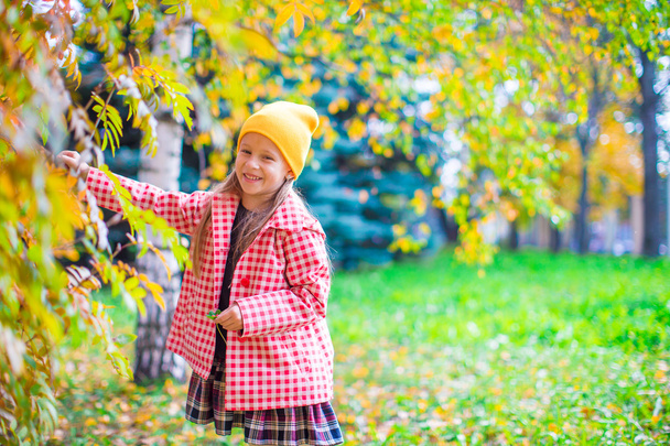 Чарівна маленька дівчинка в красивий осінній день на відкритому повітрі
 - Фото, зображення