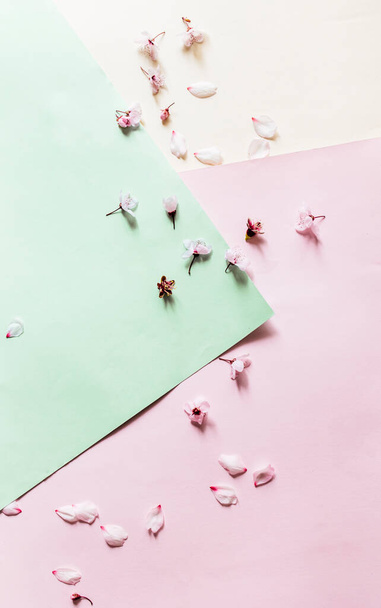 Flowers pattern composition. Pink flowers on pastel pink yellow and green background. Valentines Day, Easter, Happy Women's Day, Mother's day. Flat lay, top view, copy space - 写真・画像