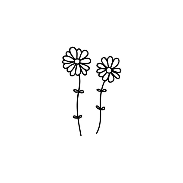 Two hand drawn daisys. Doodle vector illustration. Isolated on a white background. - ベクター画像
