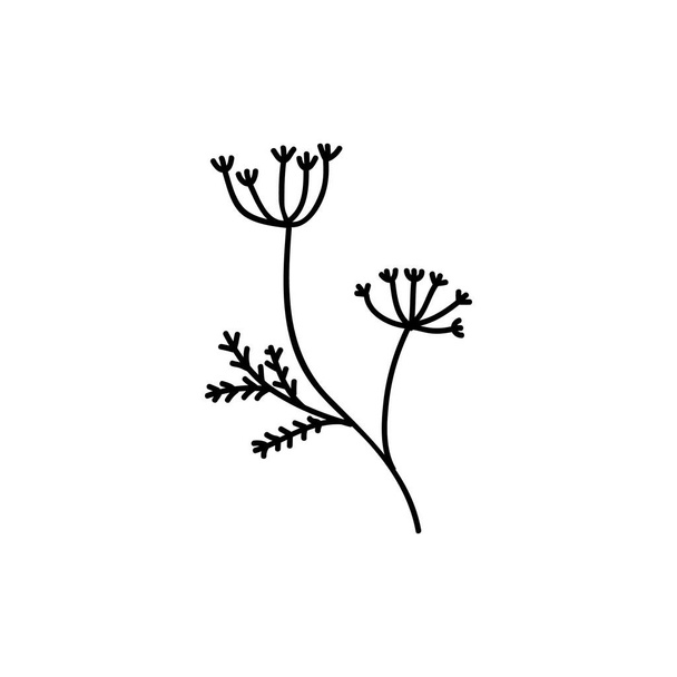 Single hand drawn twig. Doodle vector illustration. Isolated on a white background. - Vektör, Görsel