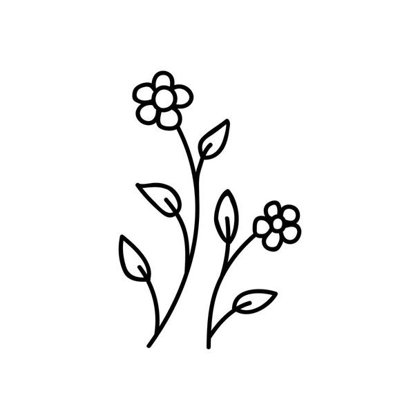 Single hand drawn flower. Doodles vector illustration. Isolated on a white background. - Vektor, Bild