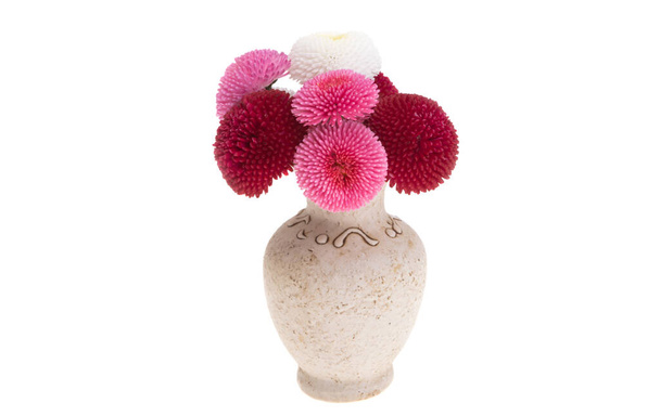 daisies in vase isoliert auf weißem hintergrund - Foto, Bild