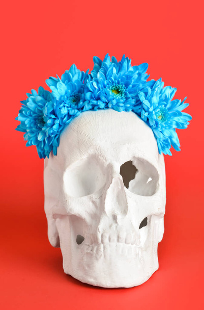 Human skull with flowers on red background - Foto, Imagem