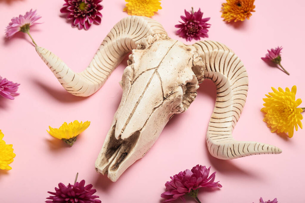 Composition with skull of sheep and flowers on pink background - Photo, Image