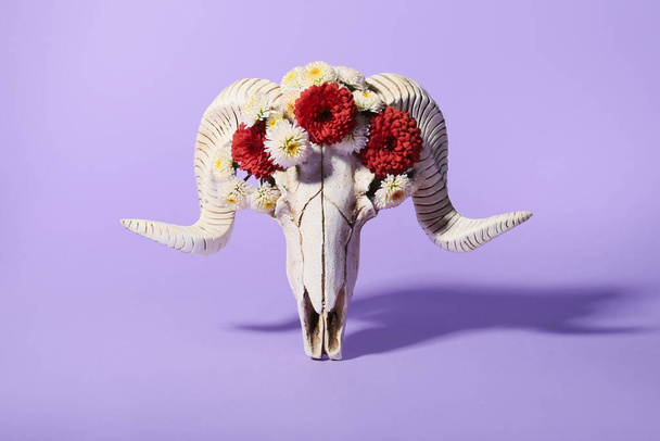 Skull of sheep with flowers on purple background - Photo, Image