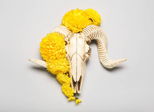 Skull of sheep and flowers on grey background - Photo, Image