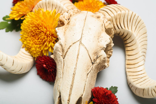 Skull of sheep with flowers on grey background, closeup - Foto, afbeelding