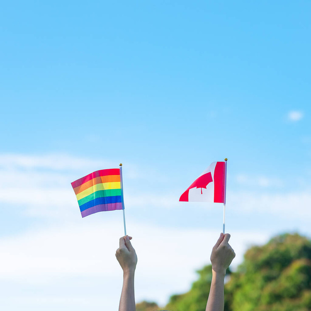ruce ukazující vlajku LGBTQ Rainbow a Canada na přírodním pozadí. Podpora lesbických, gayů, bisexuálů, transsexuálů a homosexuálů komunita a hrdost měsíční koncept - Fotografie, Obrázek