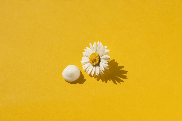 Chamomile bud with white petals with a drop of white cream isolated on yellow background. Flower in the center in sunlight with a beautiful shadow. Aromatherapy and herbal ingredients for cosmetics. - 写真・画像