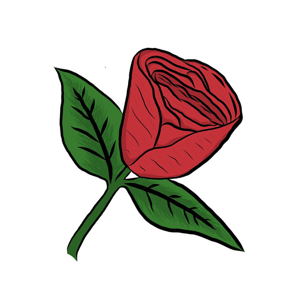 Red rose and leaf with drawing - Photo, Image