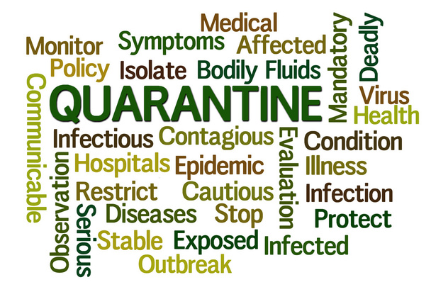 Quarantine - Photo, Image