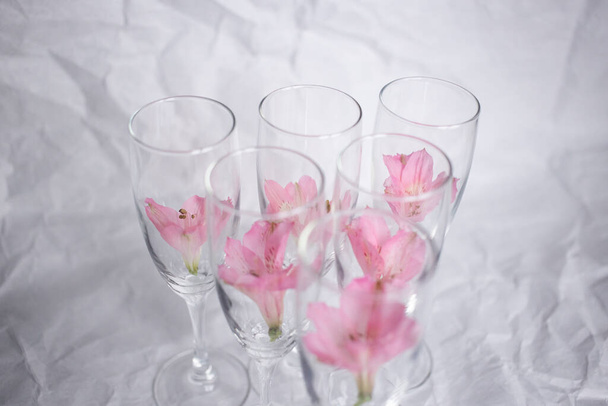 Delicato piccolo fiore rosa in un calice di vetro come decorazione su sfondo bianco - Foto, immagini
